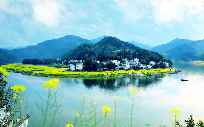 节能全自动独特
